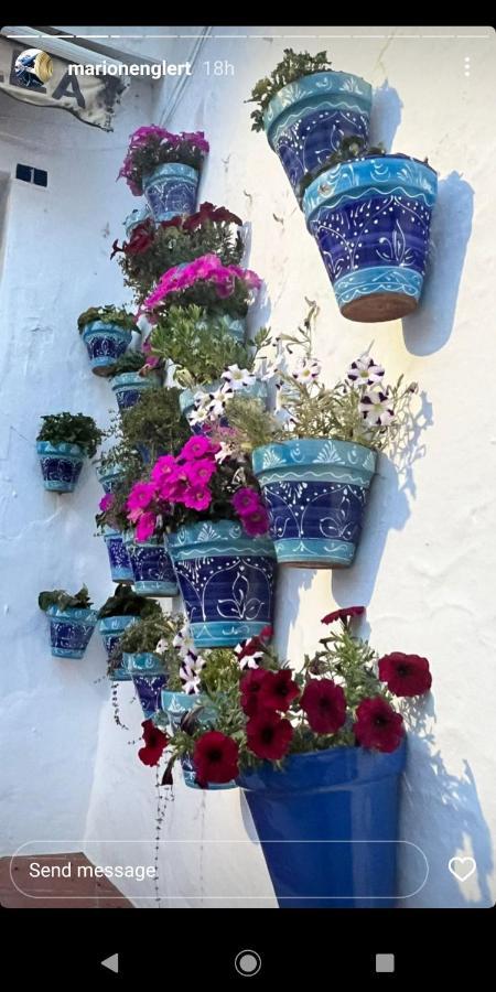 Mijas Pueblo Paradise Villa Малага Екстер'єр фото